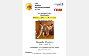 STAGE COMBAT AVEC PIERRE LLAVES