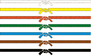 REMISE DES CEINTURES