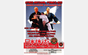 STAGE DE NIHON TAI JITSU