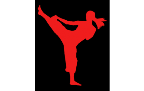 COURS DE BODY  KARATE