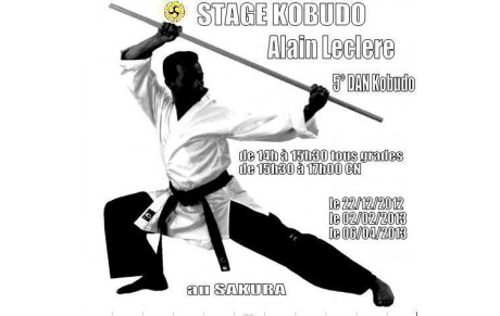 STAGE DE KOBUDO