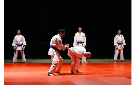 2ème nuit des arts martiaux