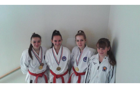 CHAMPIONNAT DE LIGUE KATA ET COMBAT