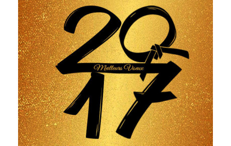 BONNE ANNÉE 2017