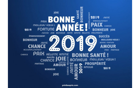 MEILLEURS VOEUX 2019
